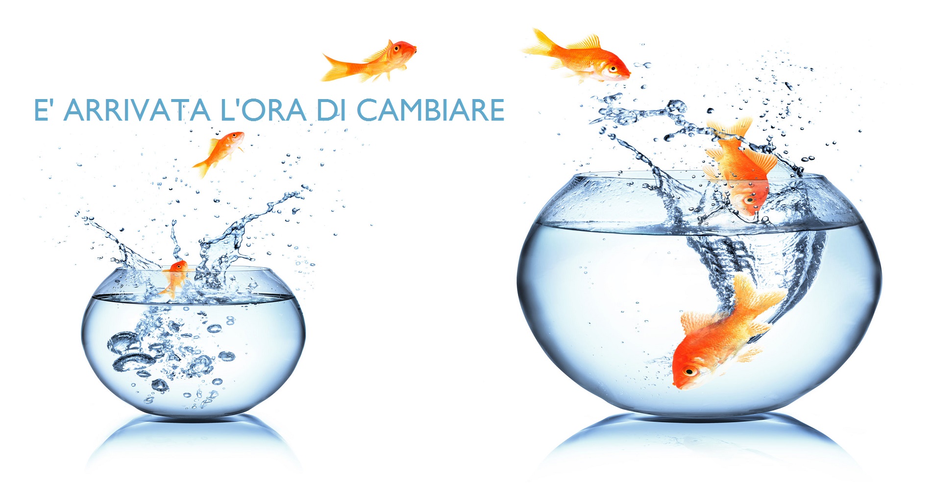 IL NUOVO SITO DELL'ASSOCIAZIONE